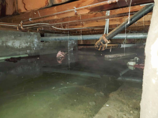 Best Water damage restoration near me  in Grottoes, VA