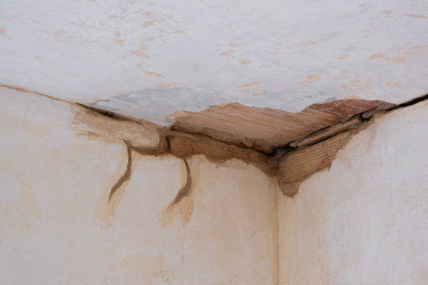 Best Mold removal after water damage  in Grottoes, VA