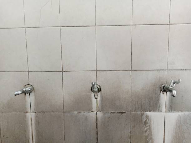 Best Mold removal after water damage  in Grottoes, VA