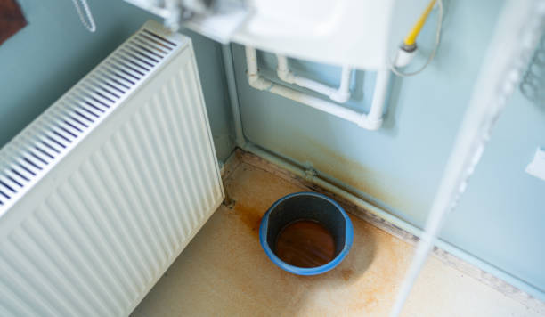 Best Professional water damage repair  in Grottoes, VA